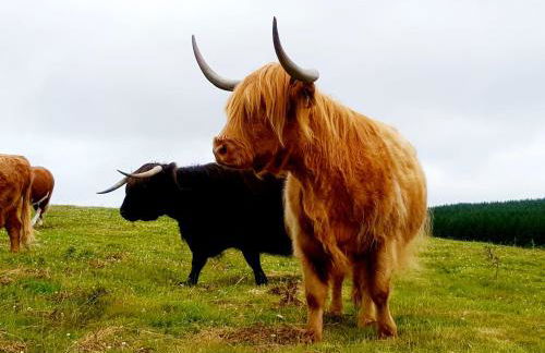 HOBLEY House Holiday - Foto 28