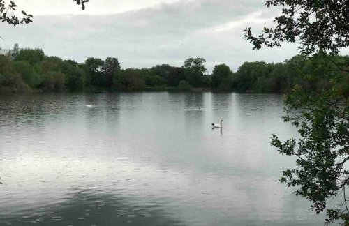 Thames Cottage, Old Mill Farm, Cotswold Water Park - Foto 25