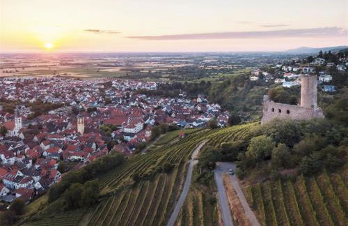 Rooftop 85qm - Burgblick - nahe Heidelberg - Loggia - Büro - Klima - Foto 16