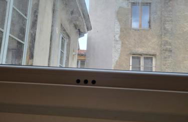 Ainay/centre Lyon/un cocon ! - Foto 3