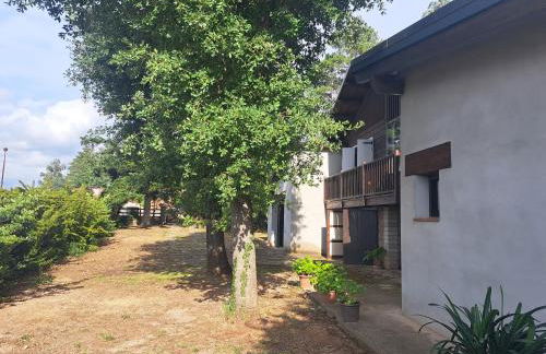 La casa del pi - Foto 1