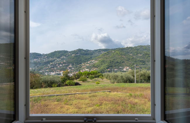 Coty (IMP522) - Foto 17