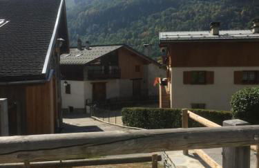 Le petit Saint Bernard - Photo 15