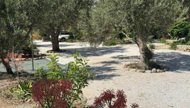Elea Houses - Foto 2