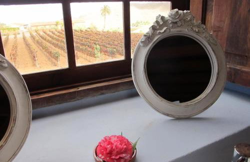 Haciendas del Valle - Las Kentias - Foto 58