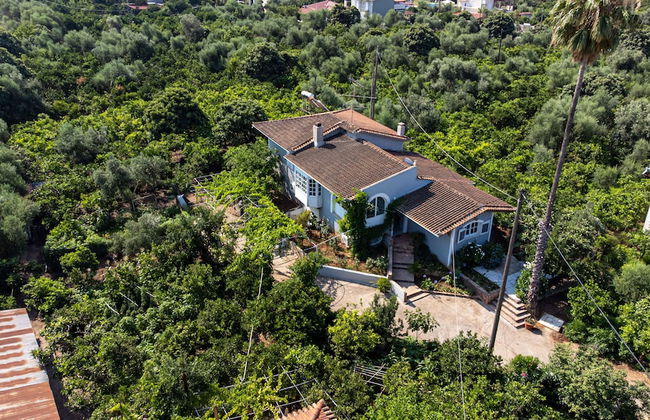 Serene Seaside Bliss - Lush & Secluded Garden Oasis - Foto 49