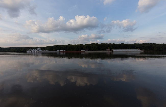 Red Anchor #23 - Foto 18