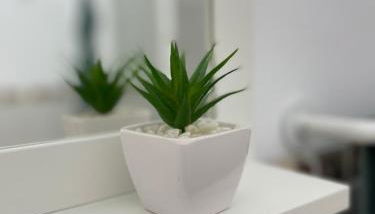 Sunny Apartment in the Heart of Santa Cruz - Foto 2