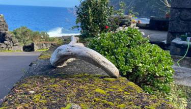 Adega Baia do Canto AL 1398 - Photo 5