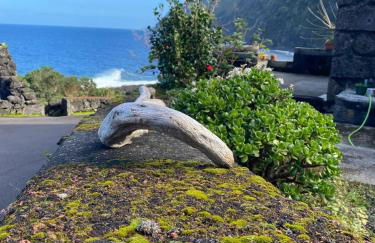 Adega Baia do Canto AL 1398 - Photo 5