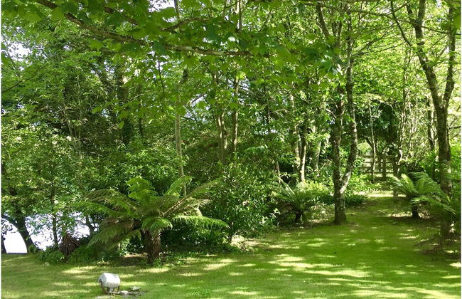 Tresowes Green Cottage - Foto 59