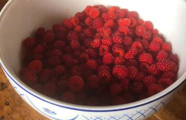 Shenandoah Holiday Chalet Fireplaces & Game Barn - Foto 35