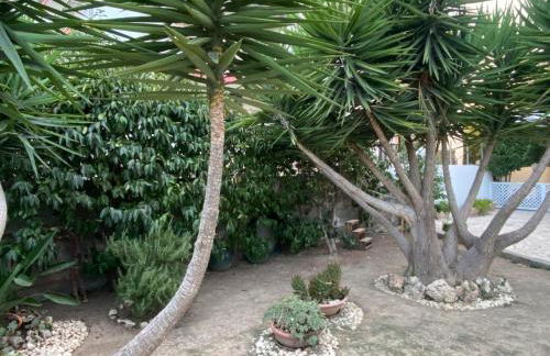 Villa Luisa Guest House - Foto 33