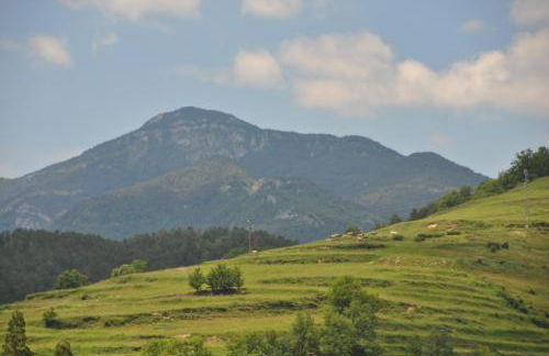 Can Taga Verd St Joan - Foto 15