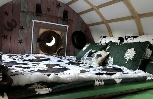 Special Glamping Accommodation Ideal for Nature Lovers in Golden, Colorado - Photo 5