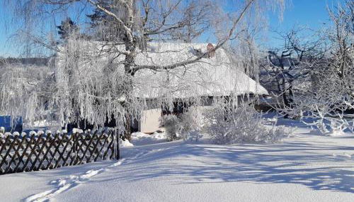 Ferienhaus Harz - Foto 2