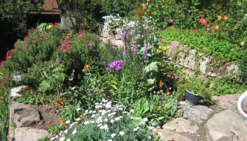 Villa Thea in the Rhön - Foto 2, Other