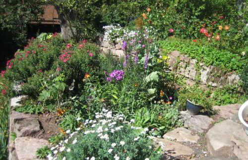 Villa Thea in the Rhön - Foto 2