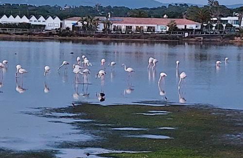 Ancão Beach Apartment - Photo 25