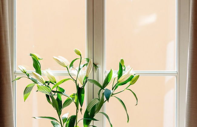 Bogoria Residence - LoftAffair Collection - Photo 70