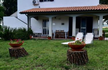 Agriturismo Uliveto Gretacci - Foto 45