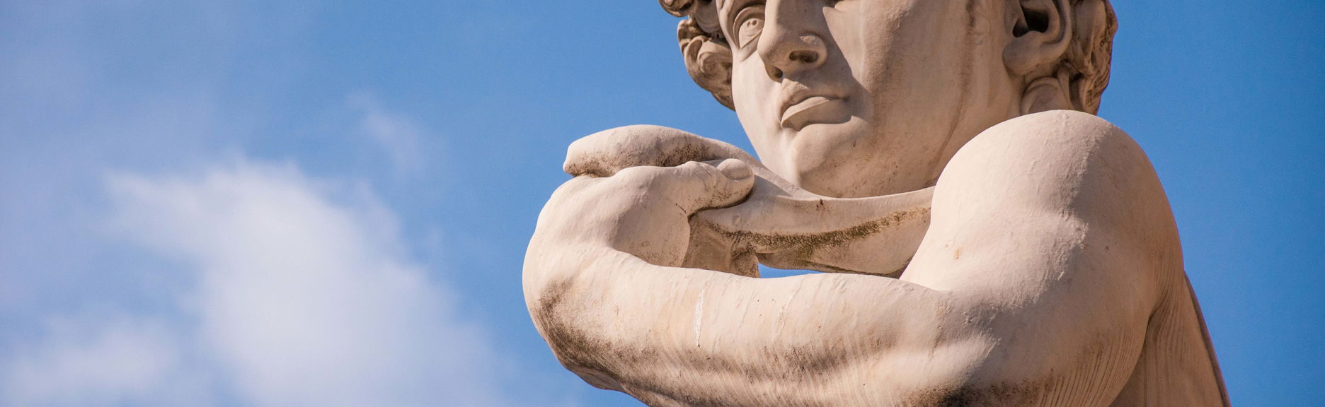 Visita guiada pela Galeria da Academia