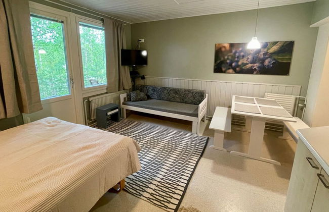 Loma-koli 1 - Foto 4