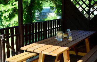 Rzeka i las - Photo 20