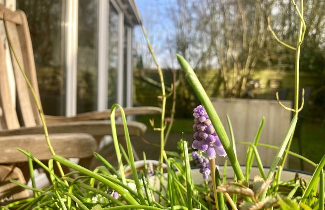 Holiday Home - 5 Persons - Closet to the Lauwerslake Near Wadden Sea - Foto 28