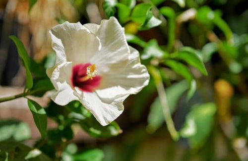 Apt Oasis LuxuryRentalsMurcia - Foto 9