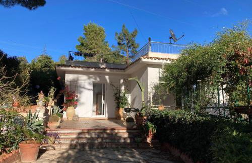 Splendida Villa immersa nella natura - Villa Salina Trabia - Foto 1