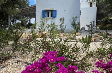 The Velanidies - Οι Βελανιδιές - Foto 71