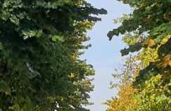 Casa Di Collina Nelle Langhe Typical Country House - Foto 5