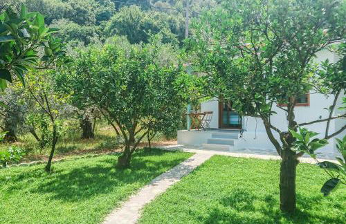 Lemongarden by the sea - Foto 17