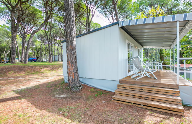 Adria Home (GDO203) - Foto 24