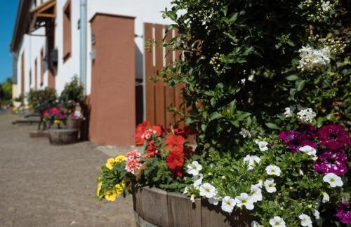 Ferienwohnungen Maijeschhof - Foto 13