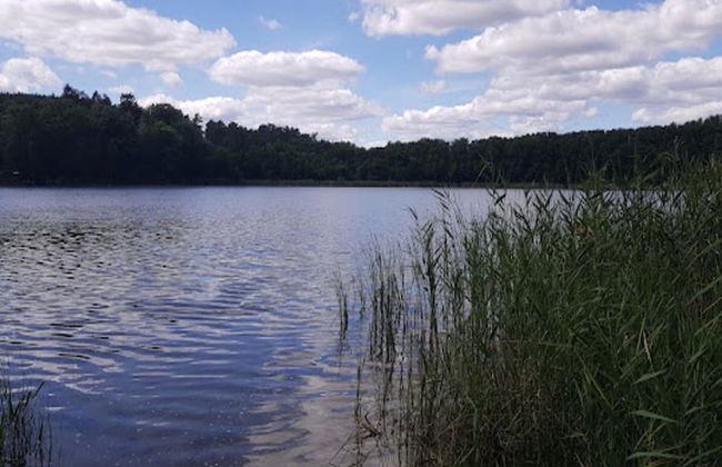 Ferienhaus am Vordersee, Dobbrikow - Photo 7