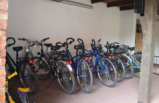 Mansion in Gressow With Terrace, Garden, Bbq, Pond, Bicycles - Foto 48