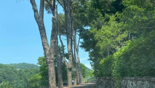 Le Foglie di Lubo - Foto 5