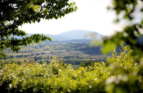 Agriturismo Le Colombe Assisi - Foto 26