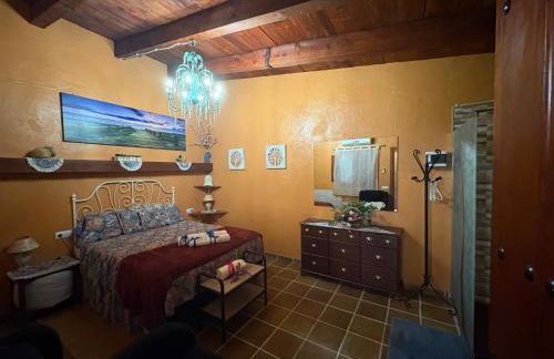 Lo Racó de Peret - Foto 10