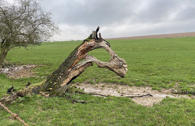 Stone House in Hamoir With Private Pool - Foto 32