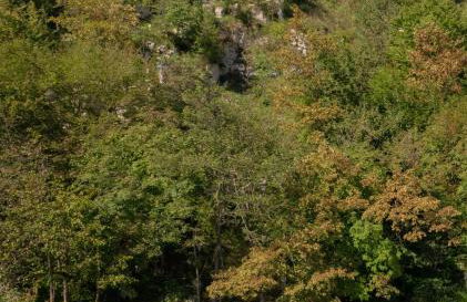 MREŽNICA - ZELENA BAJKa - Foto 21