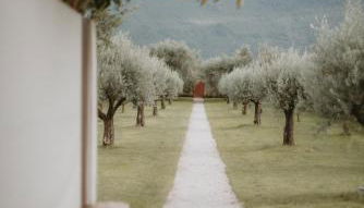 VIVERE suites and rooms - Photo 3, Garden, Garden view