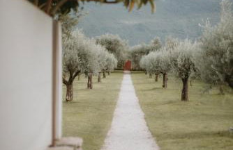 VIVERE suites and rooms - Foto 4