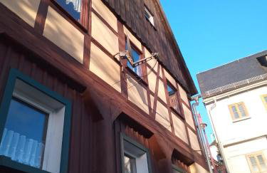 Ferienwohnung zum Sebnitzer Hirsch - Photo 21