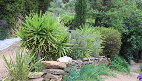 La Maison d'Allouma - Foto 5