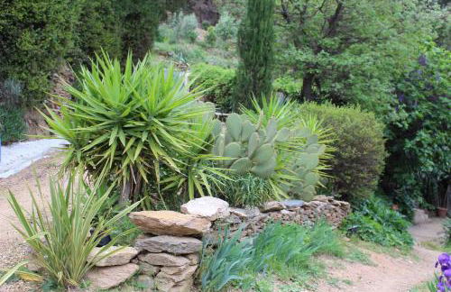 La Maison d'Allouma - Foto 5