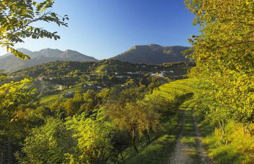 La Valle dei Laghi - Foto 47