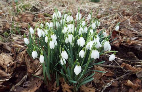 The Singing Heart, TirNaNog Cozy Cottage near Lochgilphead !!HIDDEN GEM!! - Foto 42